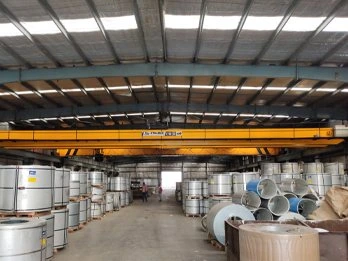 EOT Crane Manufacturer in India